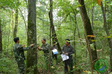 天然林保护工程—林科所外业调查